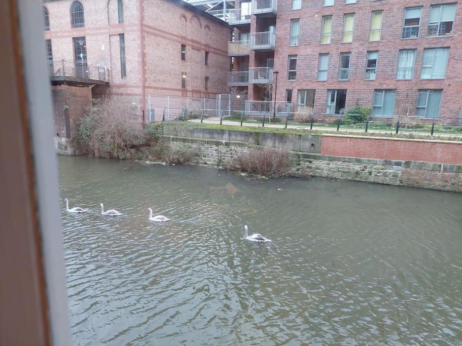 21 The Cocoa Suites York Luaran gambar