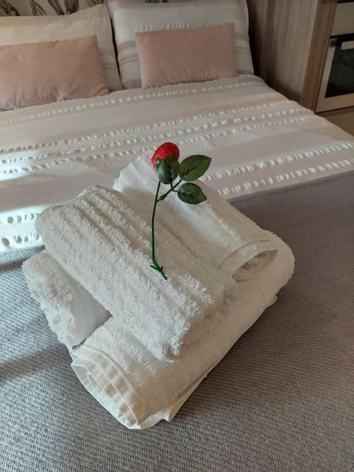 21 The Cocoa Suites York Luaran gambar